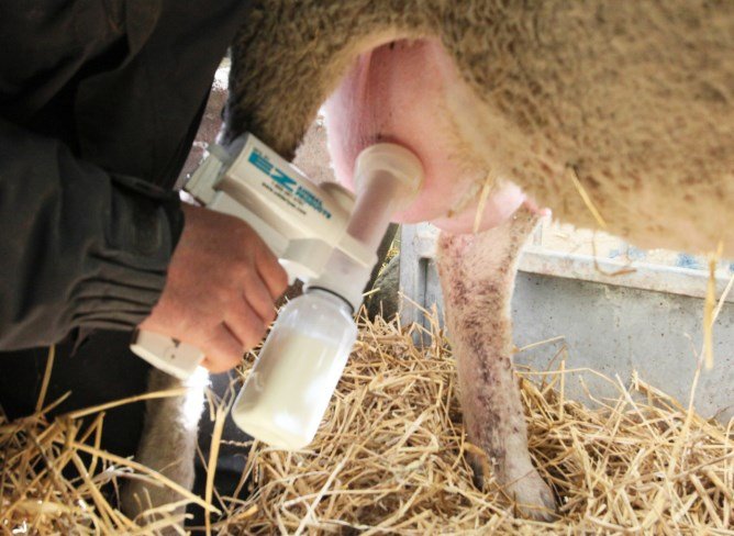 Udderly-Ez Sheep Milker