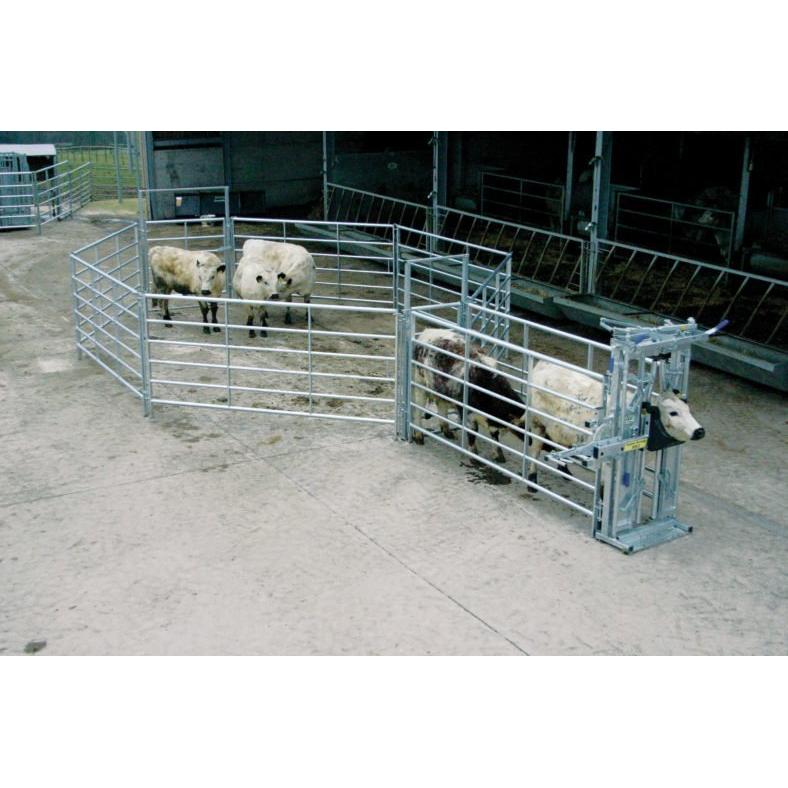 IAE Portable Cattle Handling Starter Kit