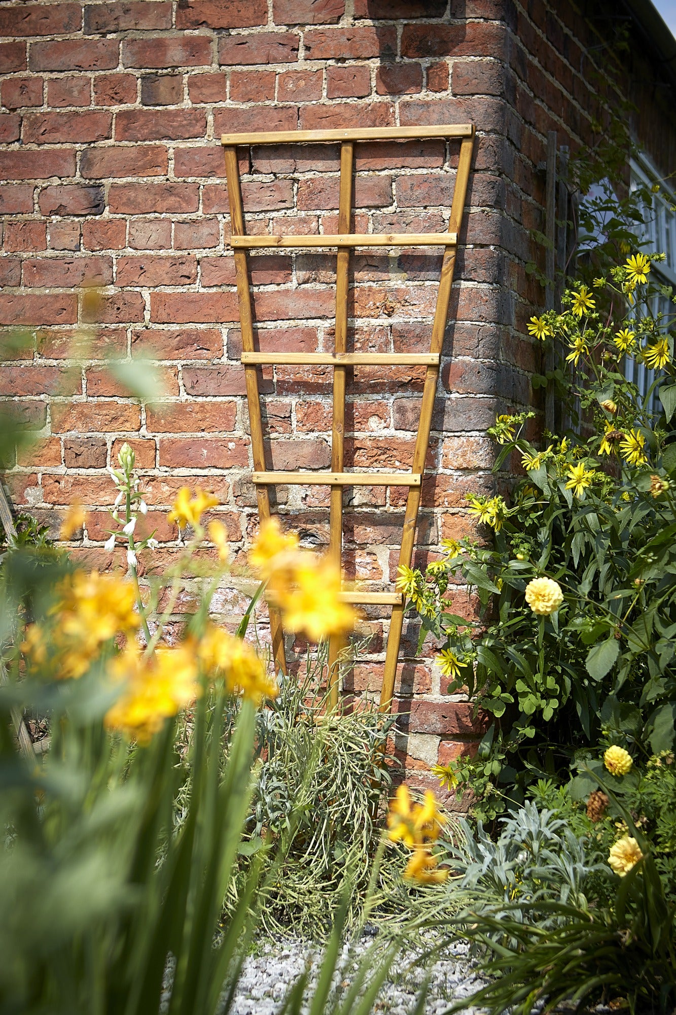 Tom Chambers H/duty Trellis - 180cm