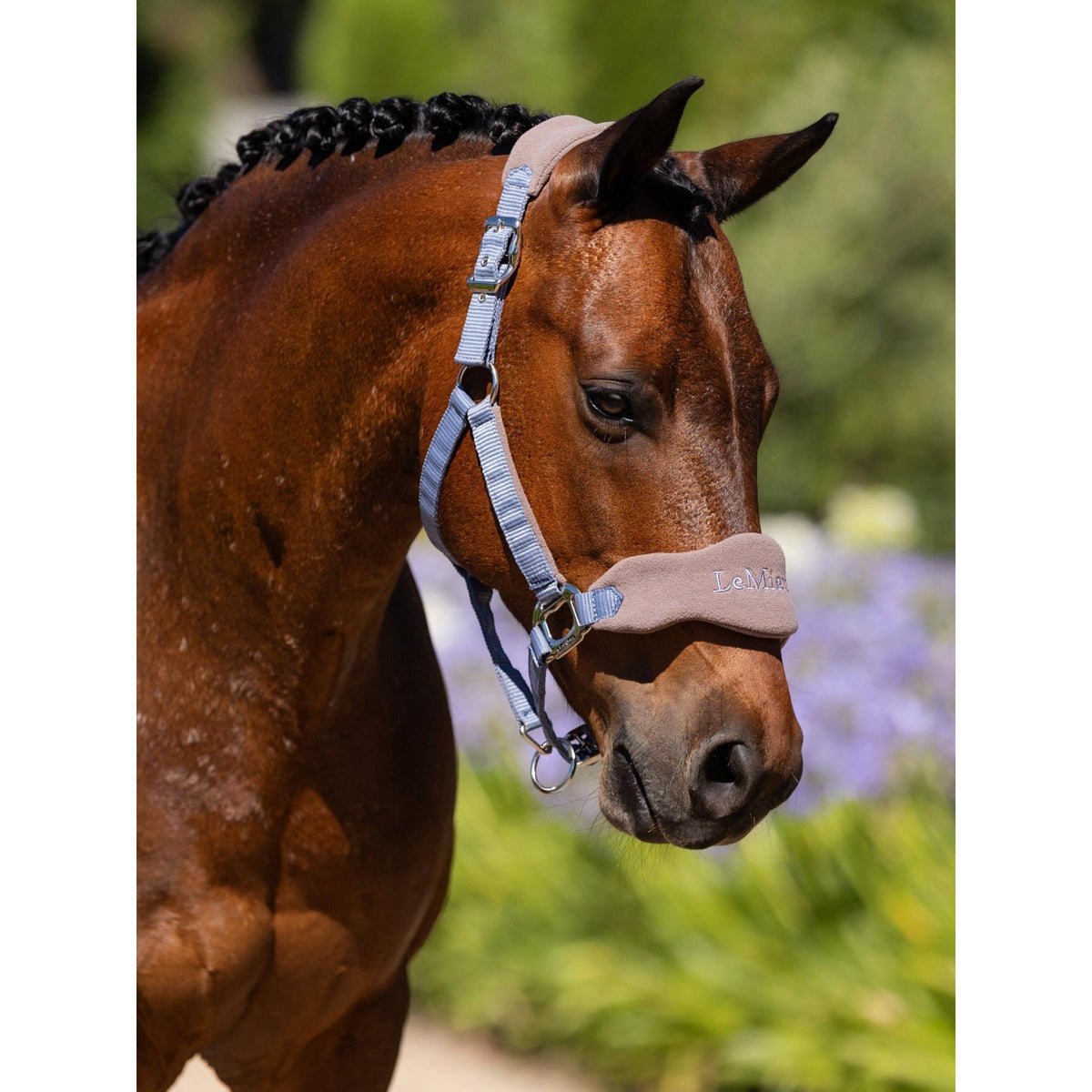 LeMieux Vogue Headcollar & Leadrope