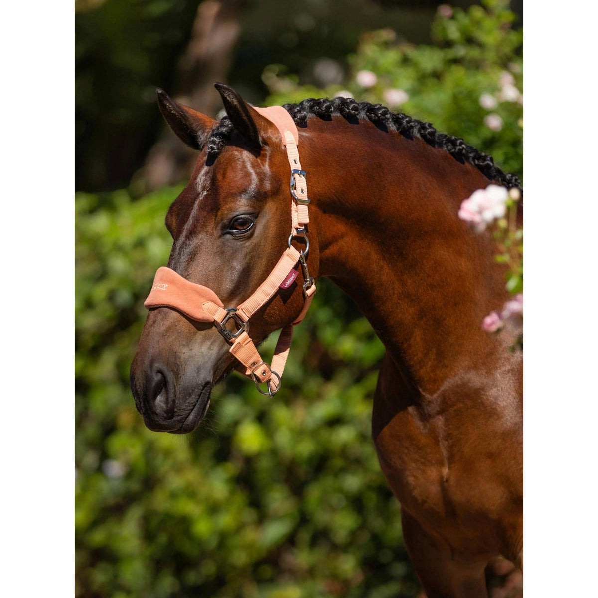 LeMieux Vogue Headcollar & Leadrope