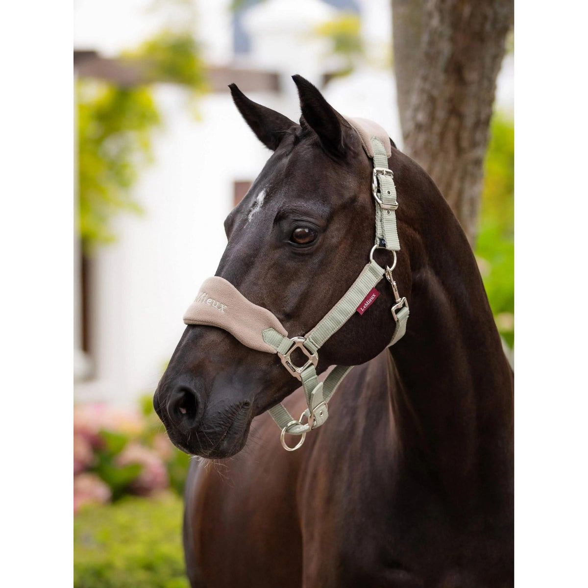 LeMieux Vogue Headcollar & Leadrope
