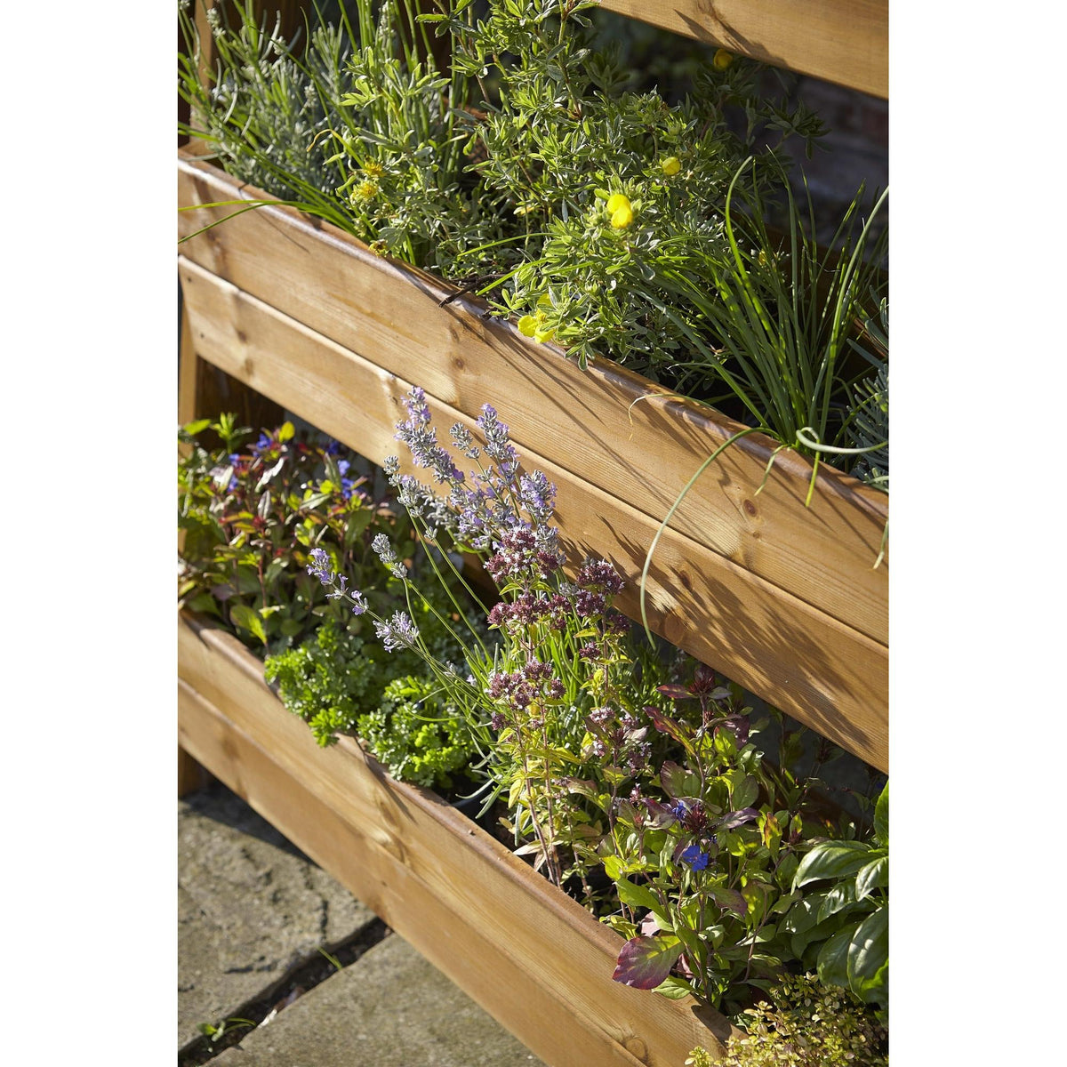 Tom Chambers Herb Garden Planter