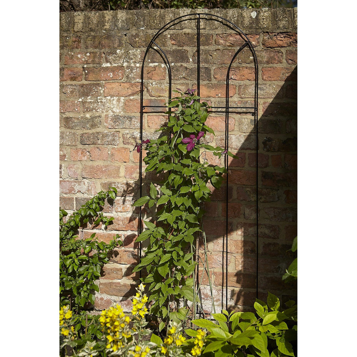 Tom Chambers Flora Trellis - Large