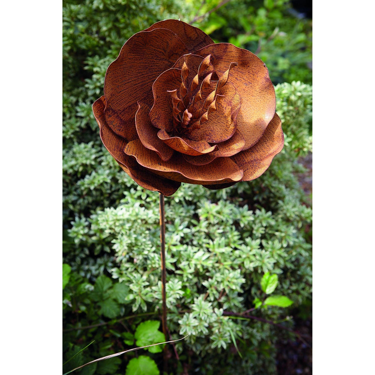 Tom Chambers Plant Stakes Rusty Oriental Poppy