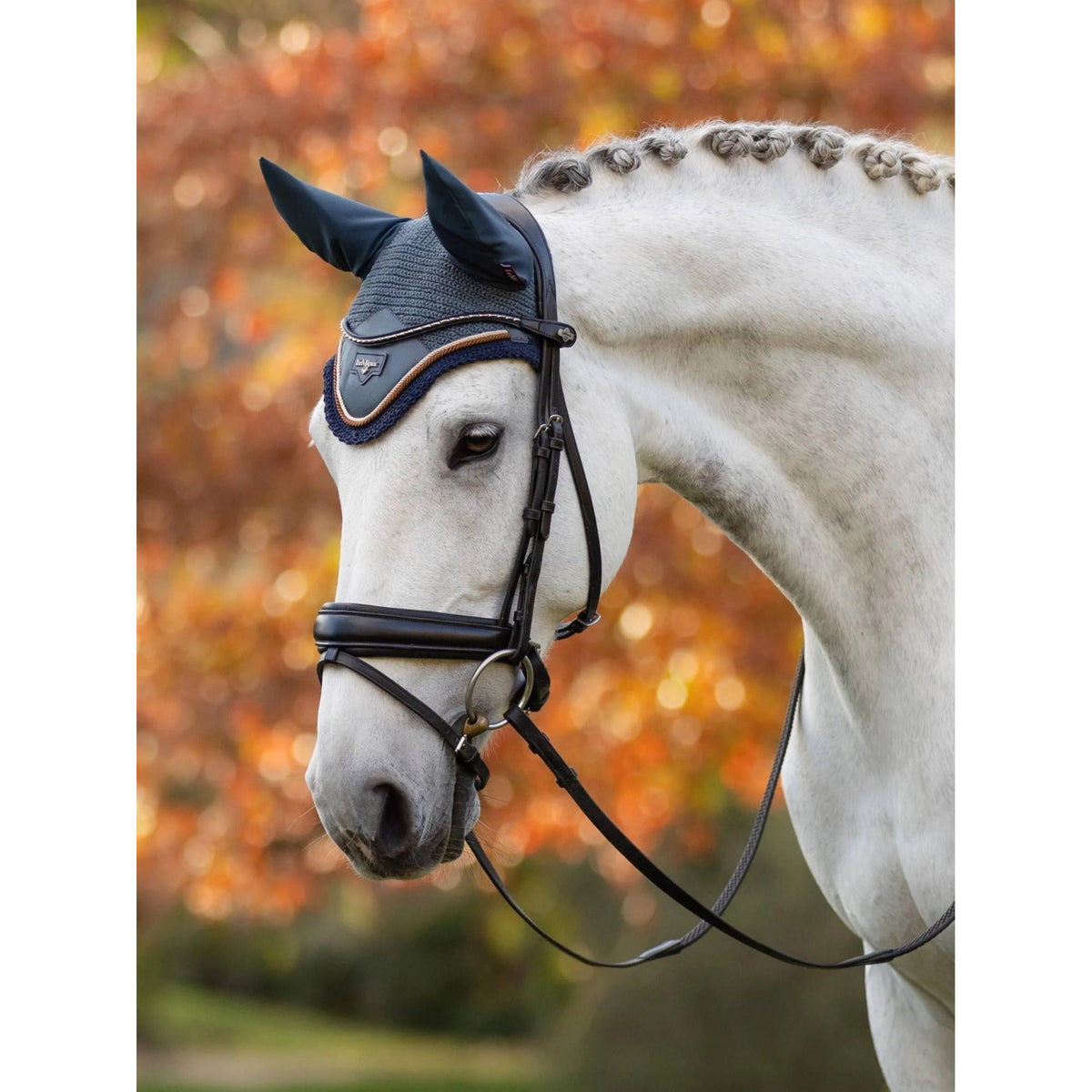 LeMieux Loire Fly Hood