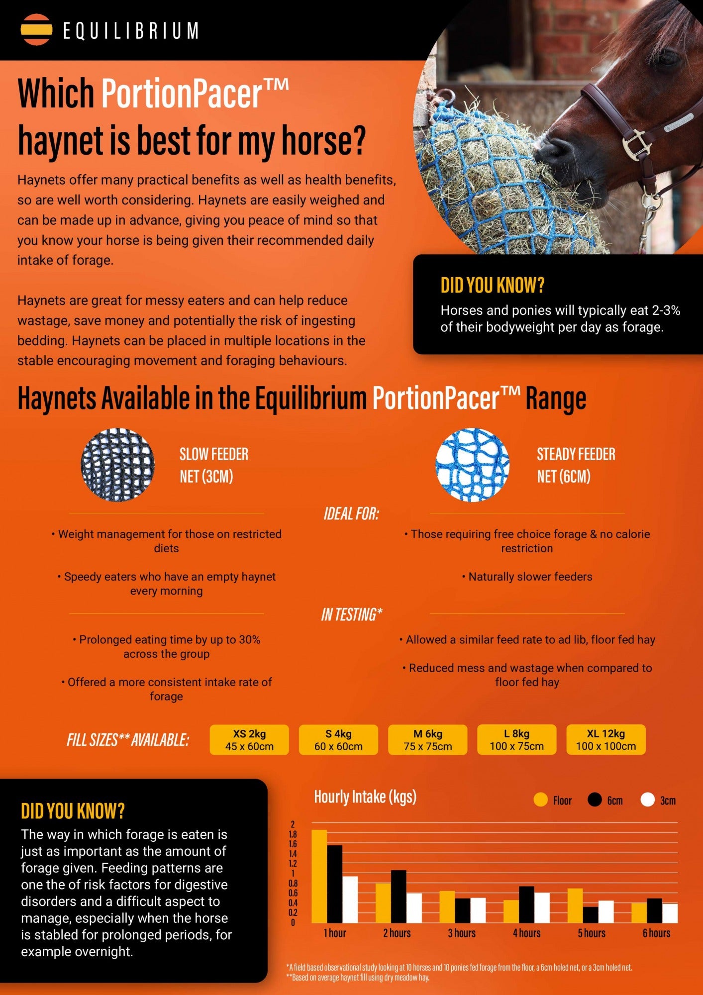 Equilibrium PortionPacer Slow Feeder Haynet