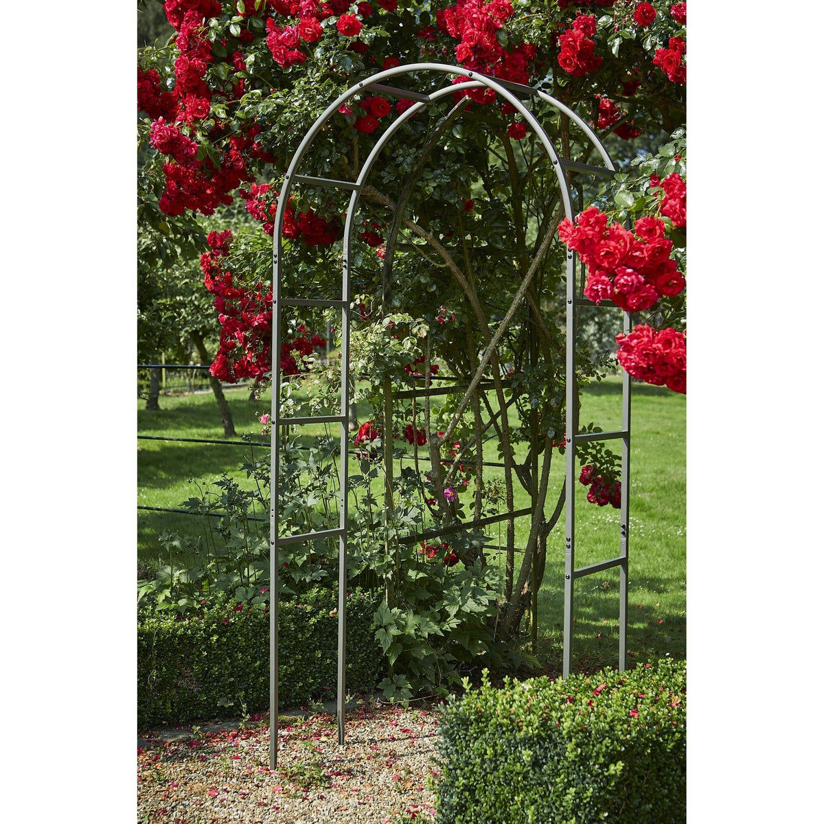 Tom Chambers Classic Arch Pewter