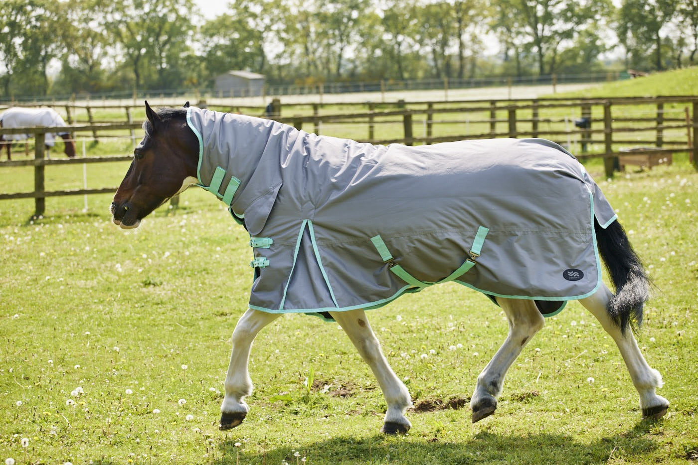 Firefoot 200g Fixed Neck Rug