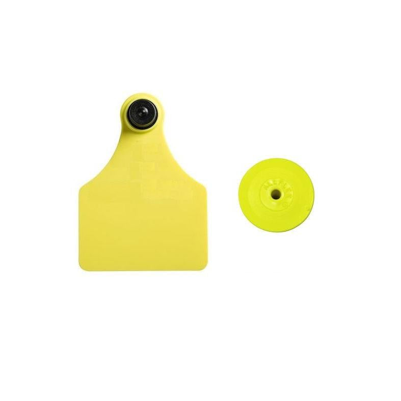 Ultra Management Medium Blank Tags - 25pk