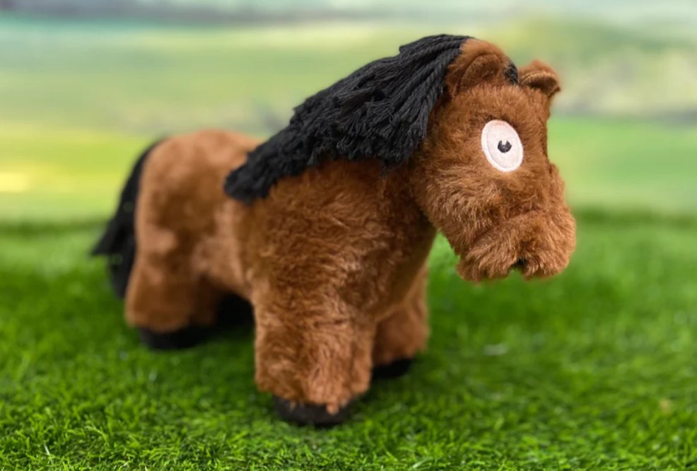 Crafty Ponies Foal