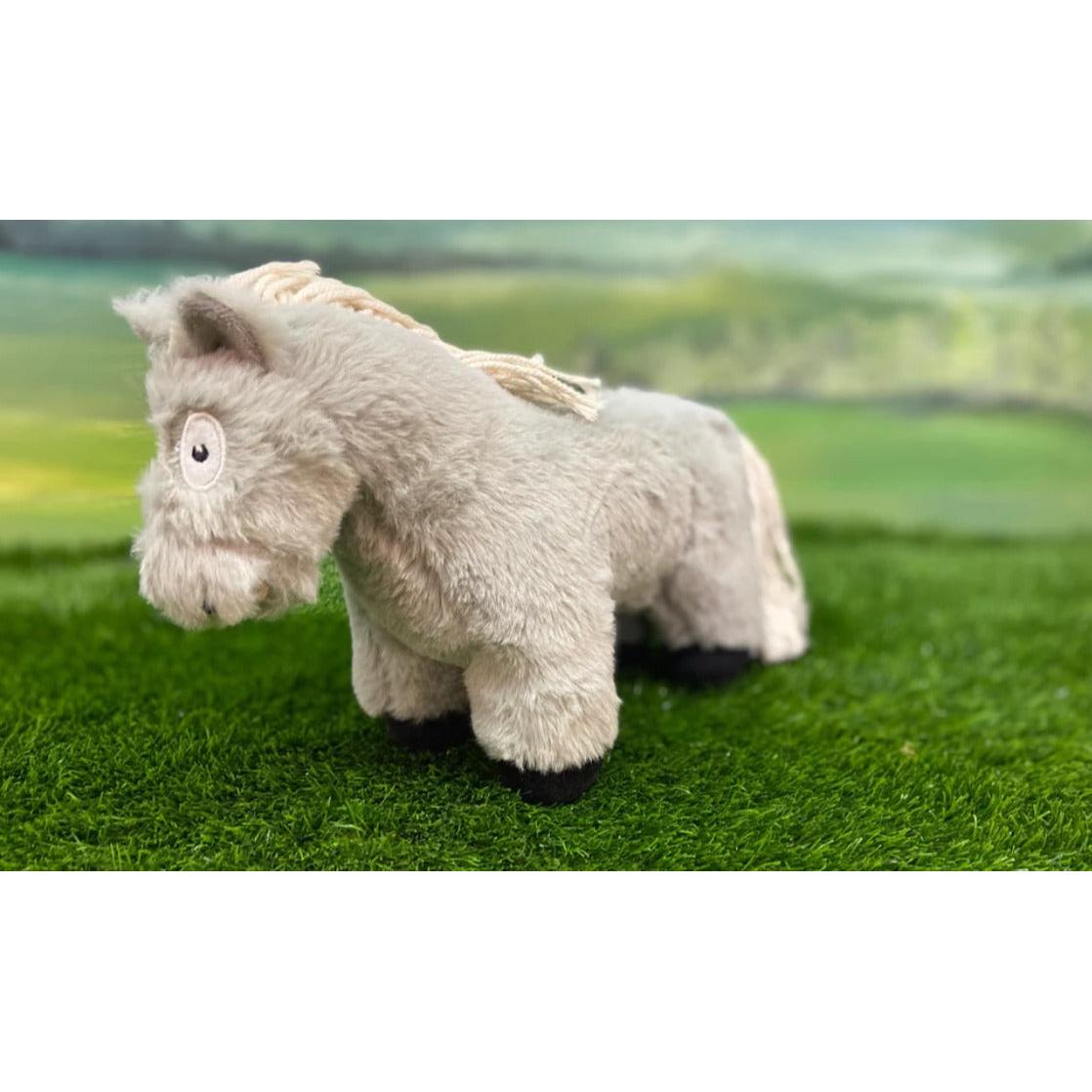 Crafty Ponies Foal