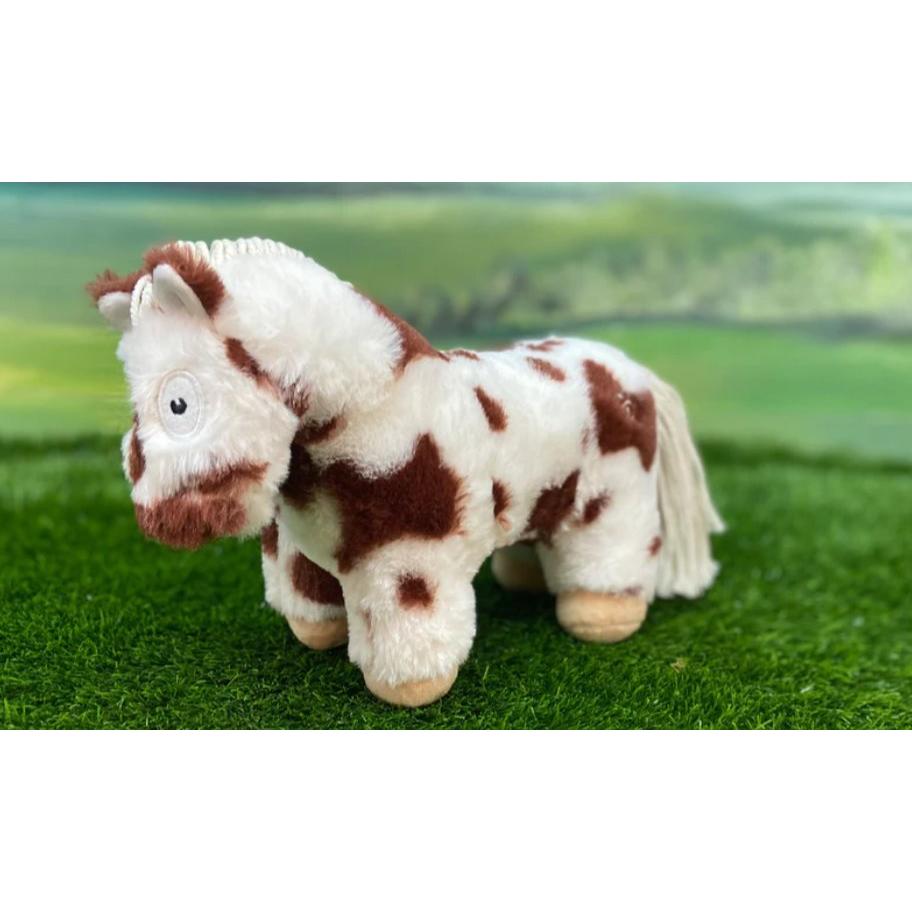 Crafty Ponies Foal