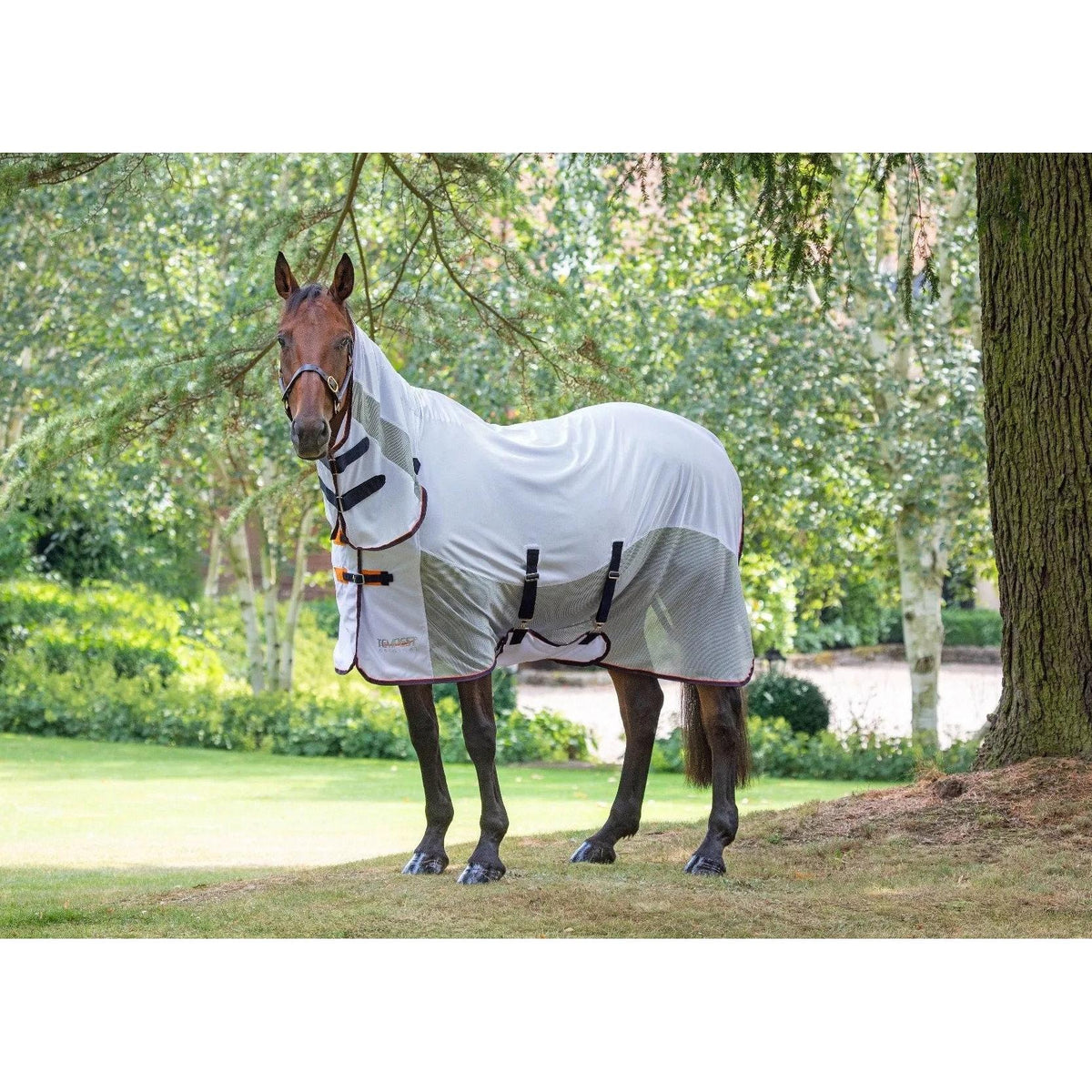 Tempest Original Fly Mesh Combo Rug