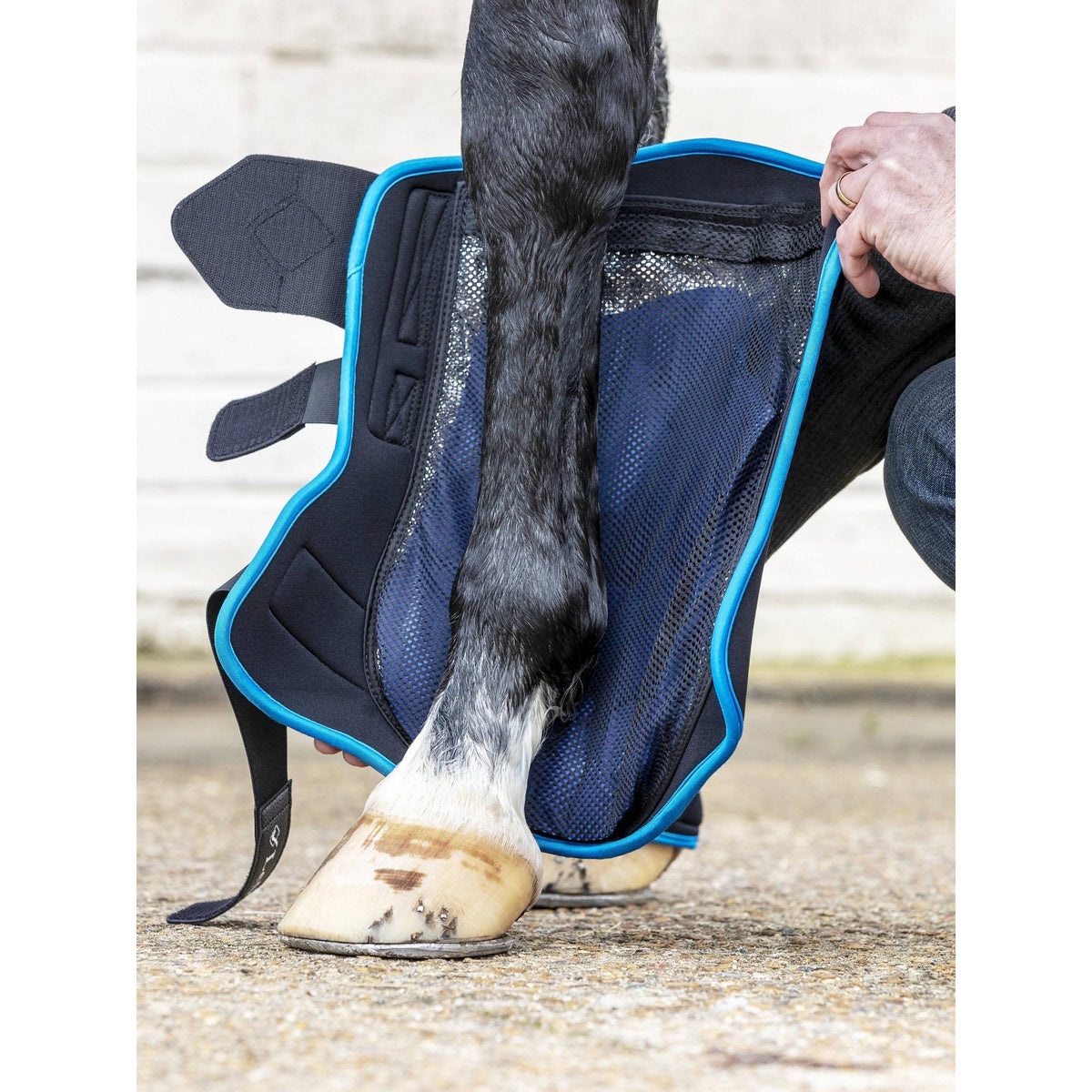 LeMieux ProIce Freeze Therapy Boots