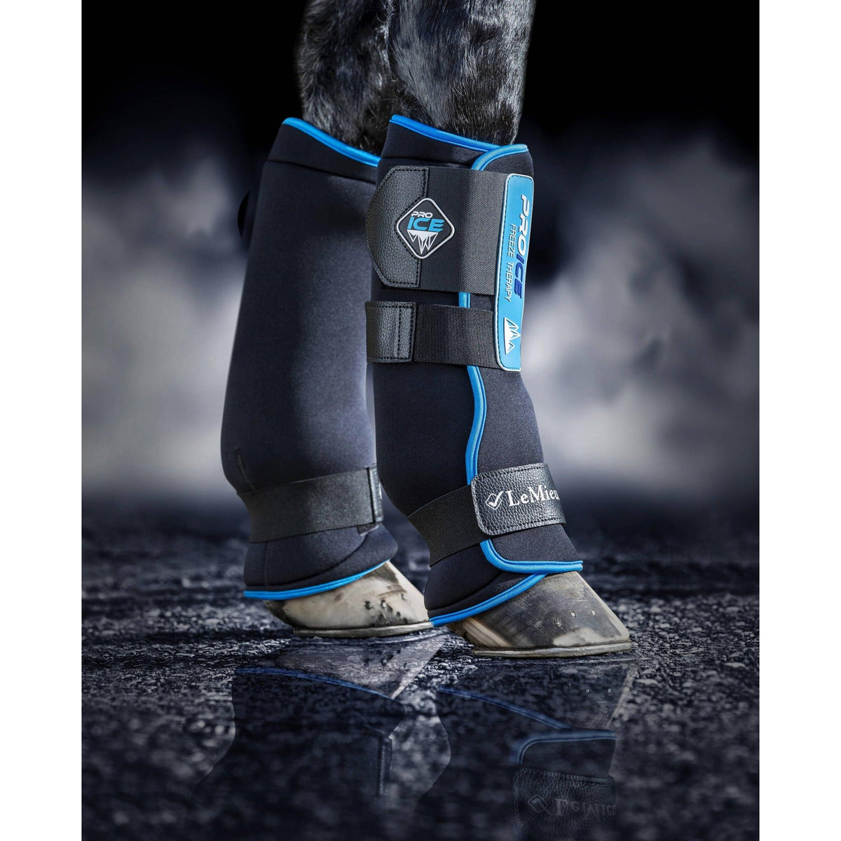LeMieux ProIce Freeze Therapy Boots
