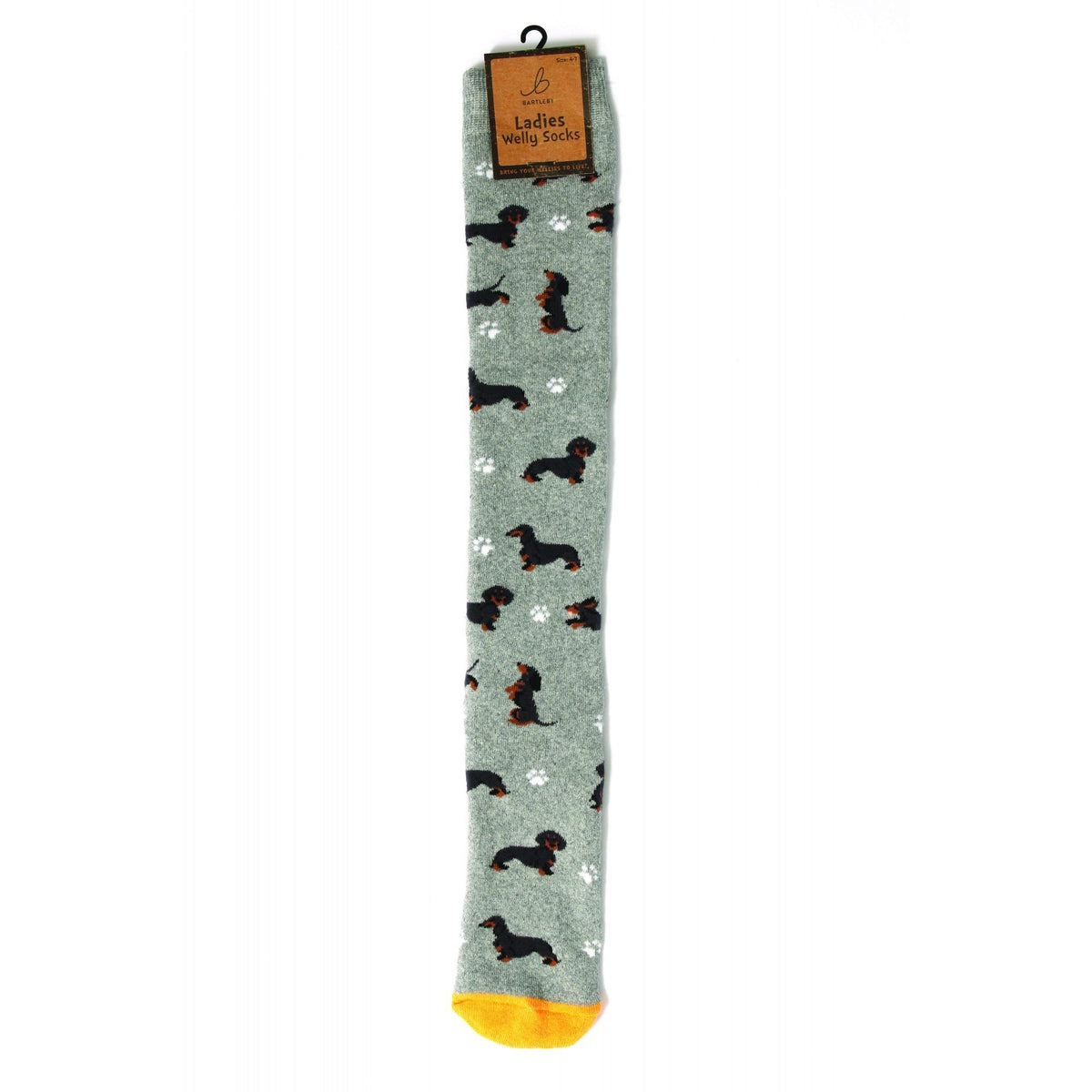 Bartleby Ladies' Funky Welly Socks