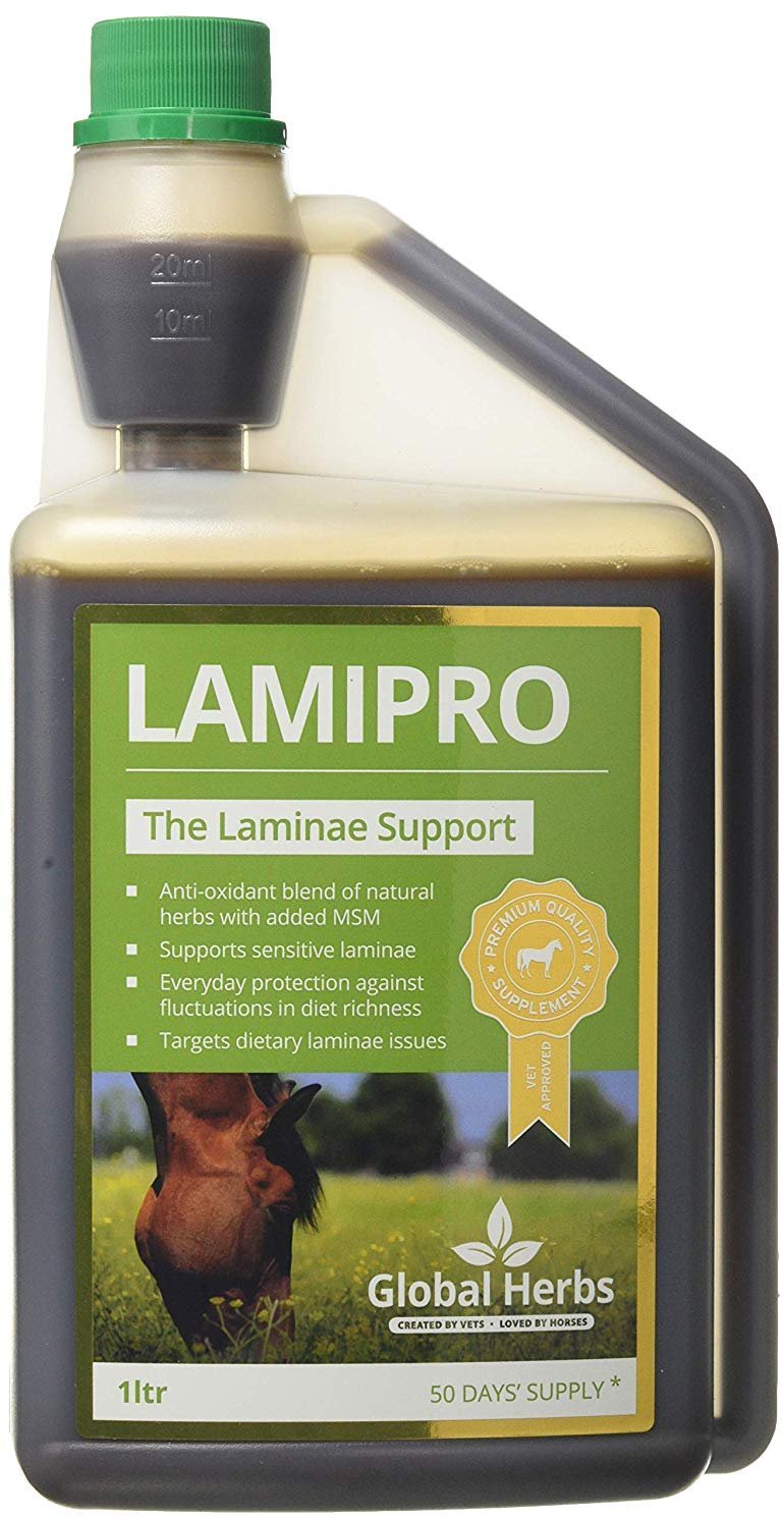 Global Herbs Lamipro Liquid 1l