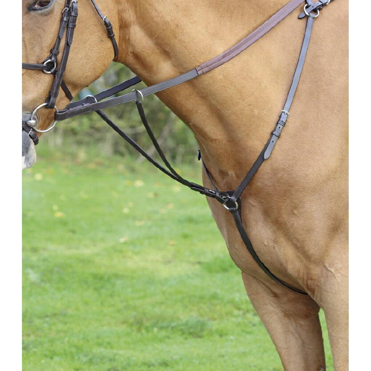 Shires Velociti Gara Hunt Breastplate