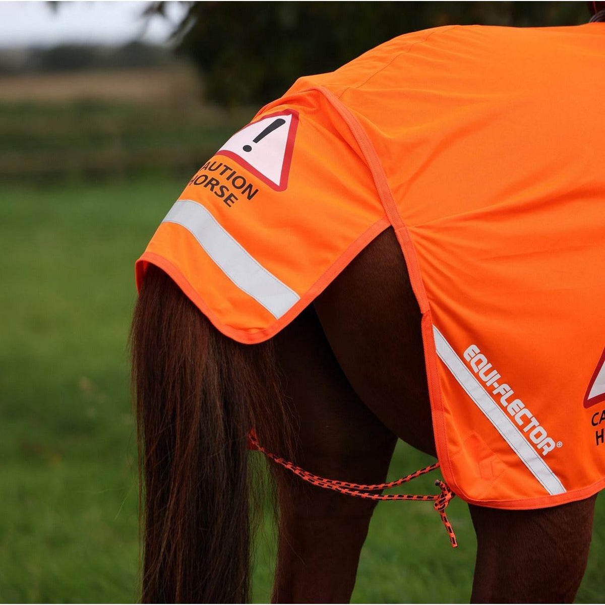 Shires Equi-Flector Mesh Exercise Sheet