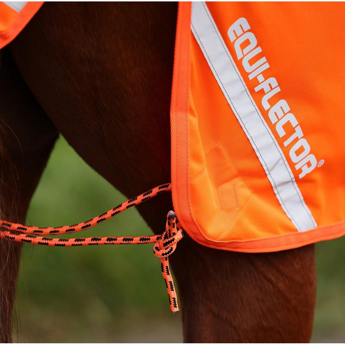 Shires Equi-Flector Mesh Exercise Sheet