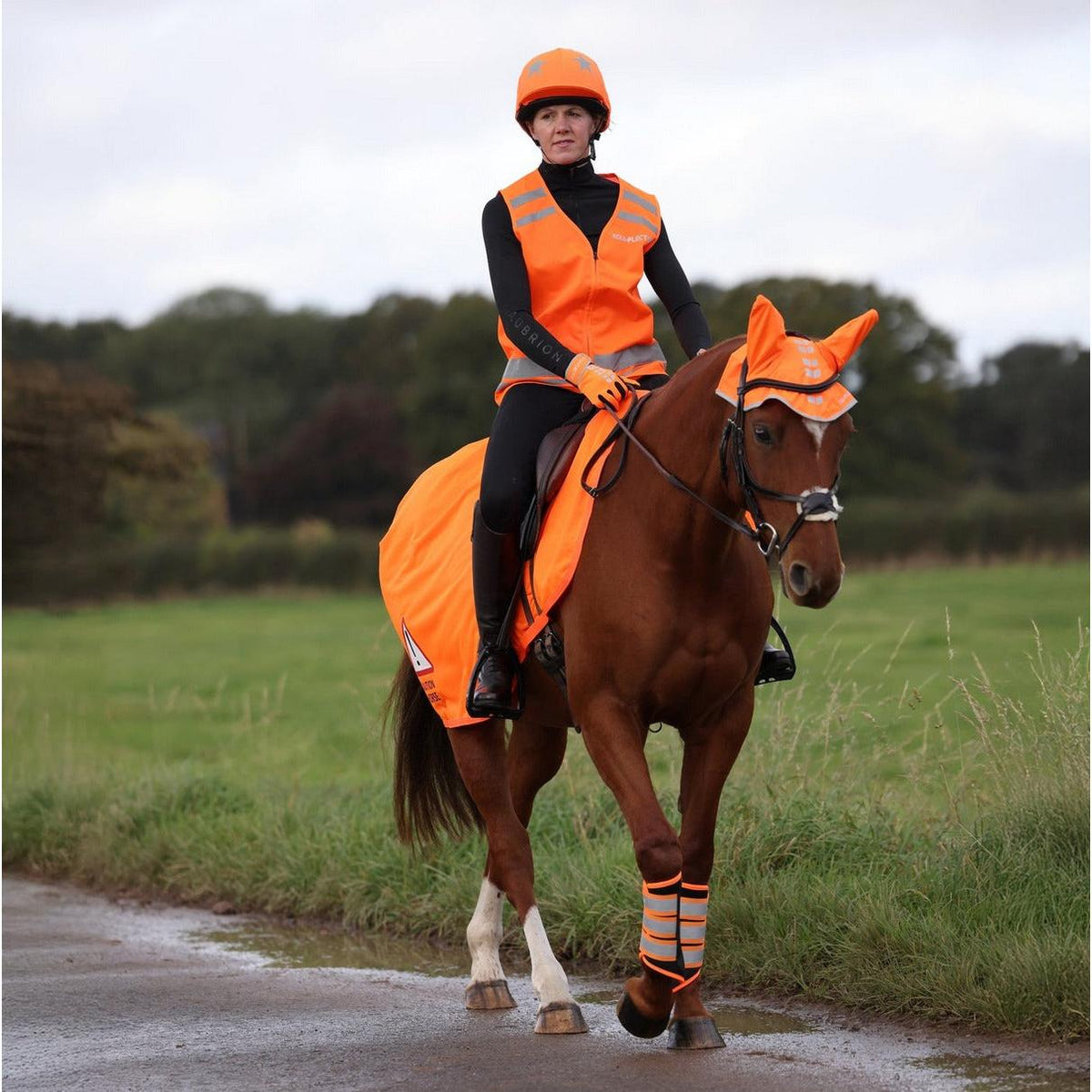 Shires Equi-Flector Mesh Exercise Sheet