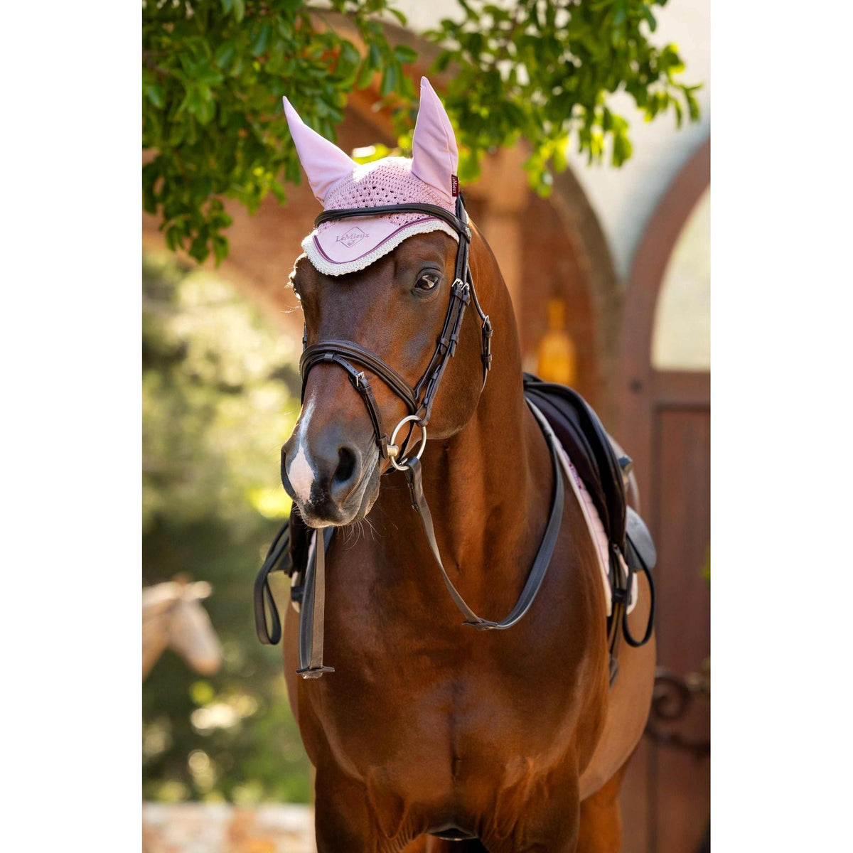 LeMieux Classic Fly Hood