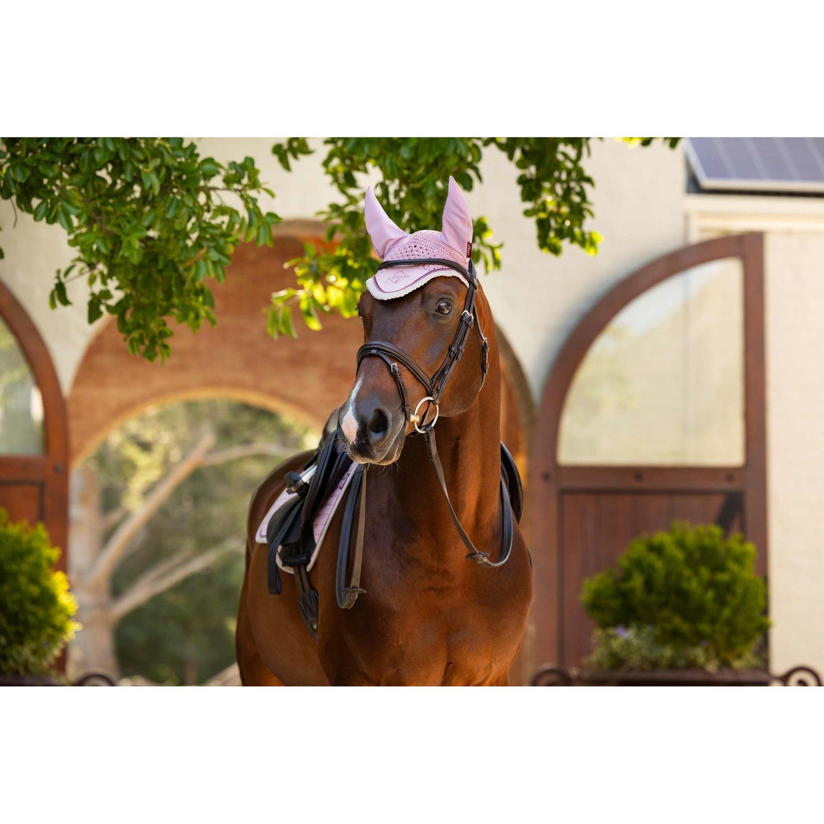 LeMieux Classic Fly Hood