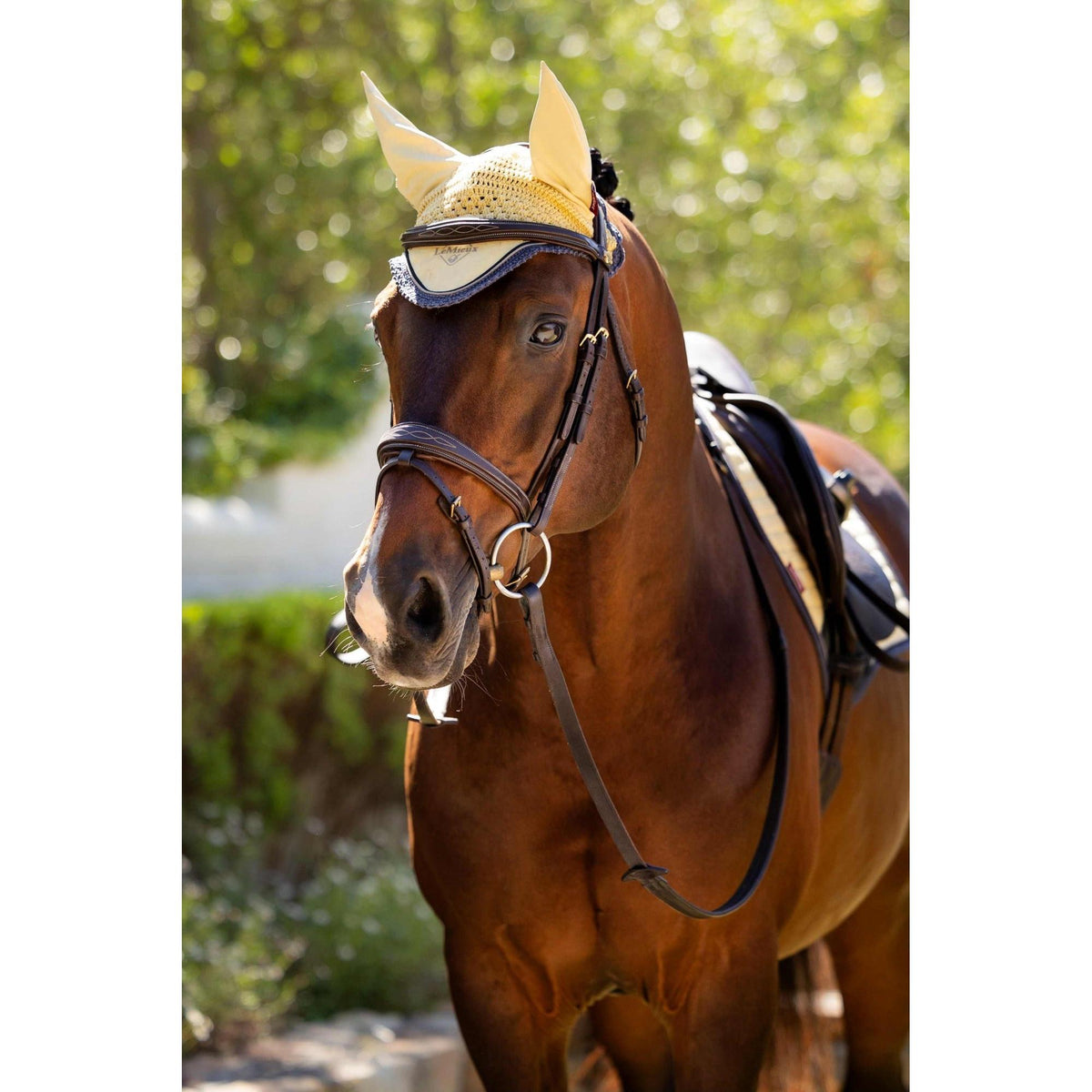 LeMieux Classic Fly Hood