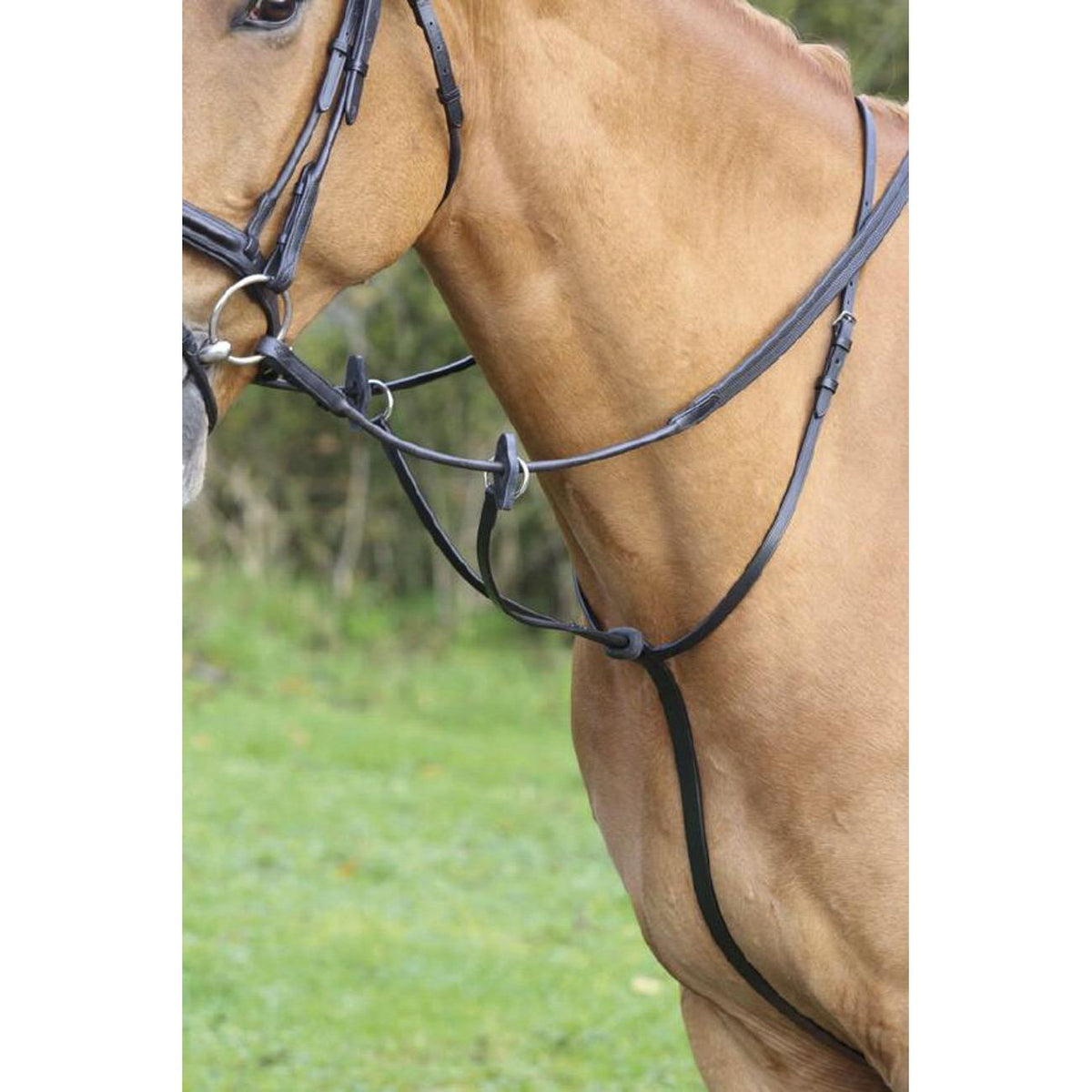 Aviemore/velociti Running Martingale