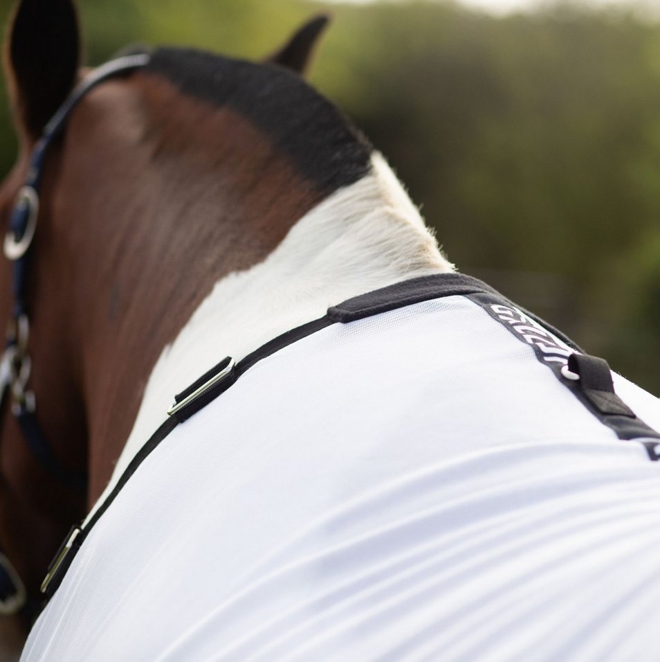 Gallop Dual 5-Point Fly Rug & Neck Set