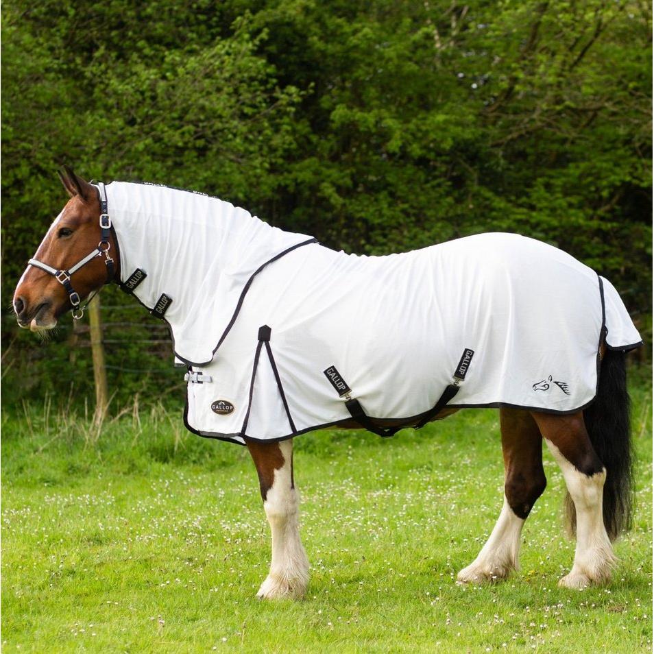 Gallop Dual 5-Point Fly Rug & Neck Set
