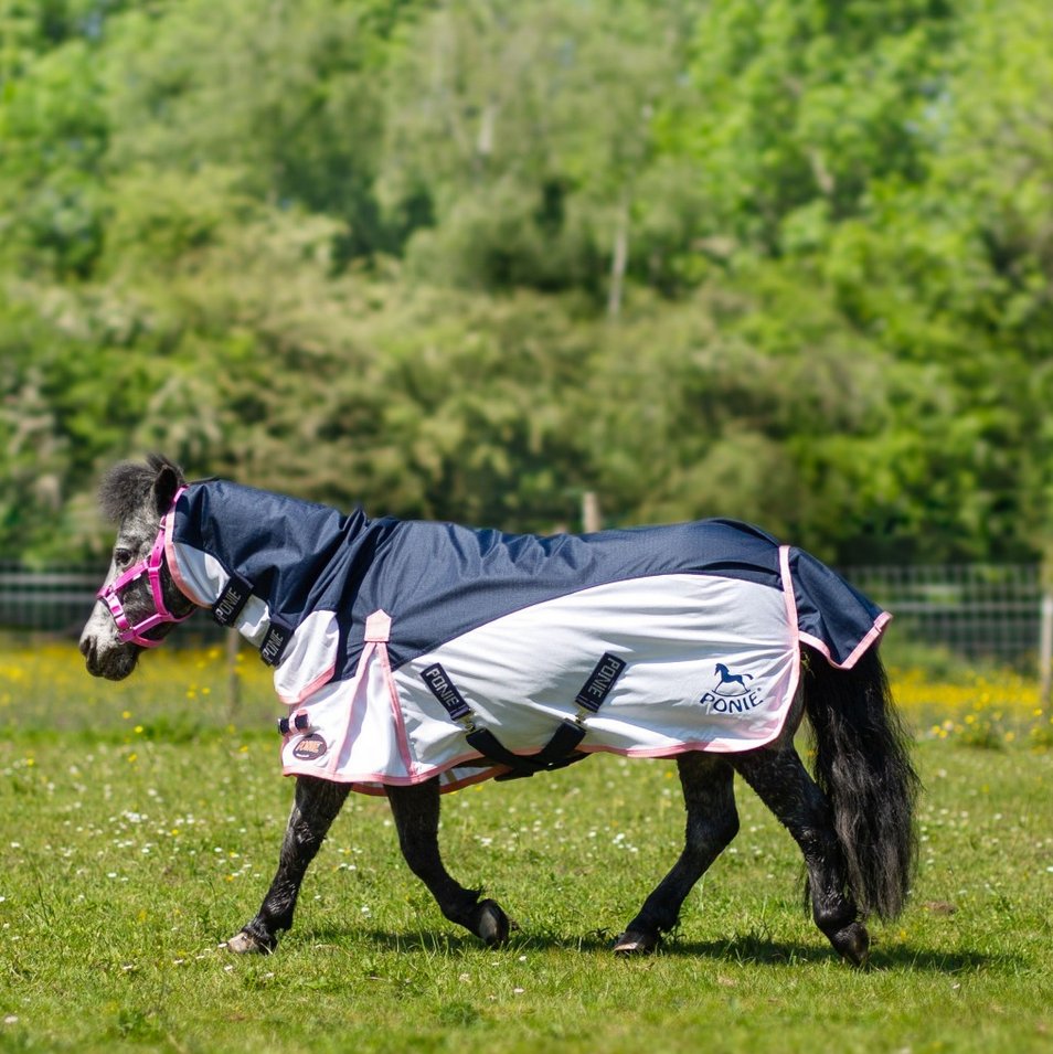 Gallop New Ponie Turnout Fly Rug Combo