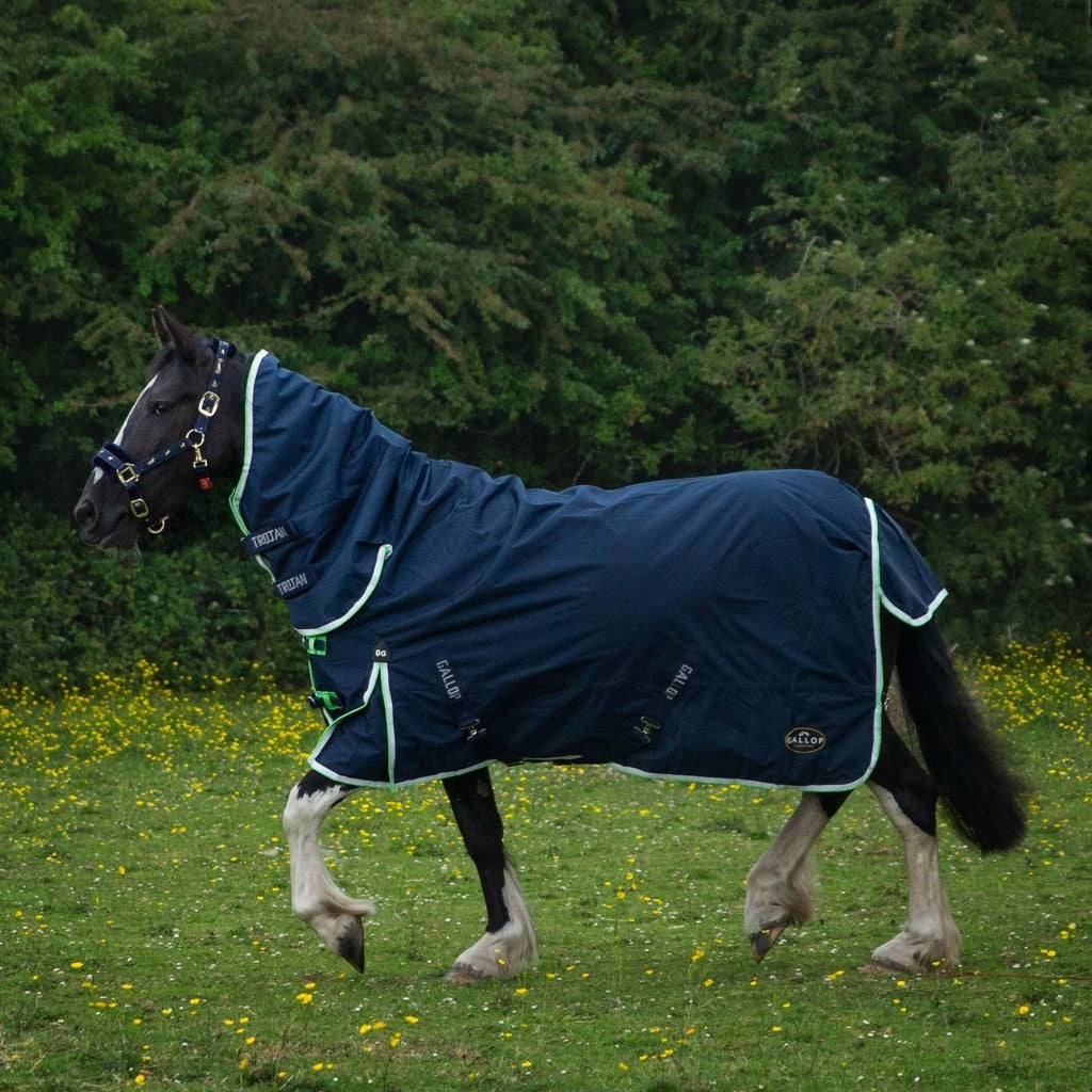 Gallop Trojan Duraproof Lightweight Turnout Combo