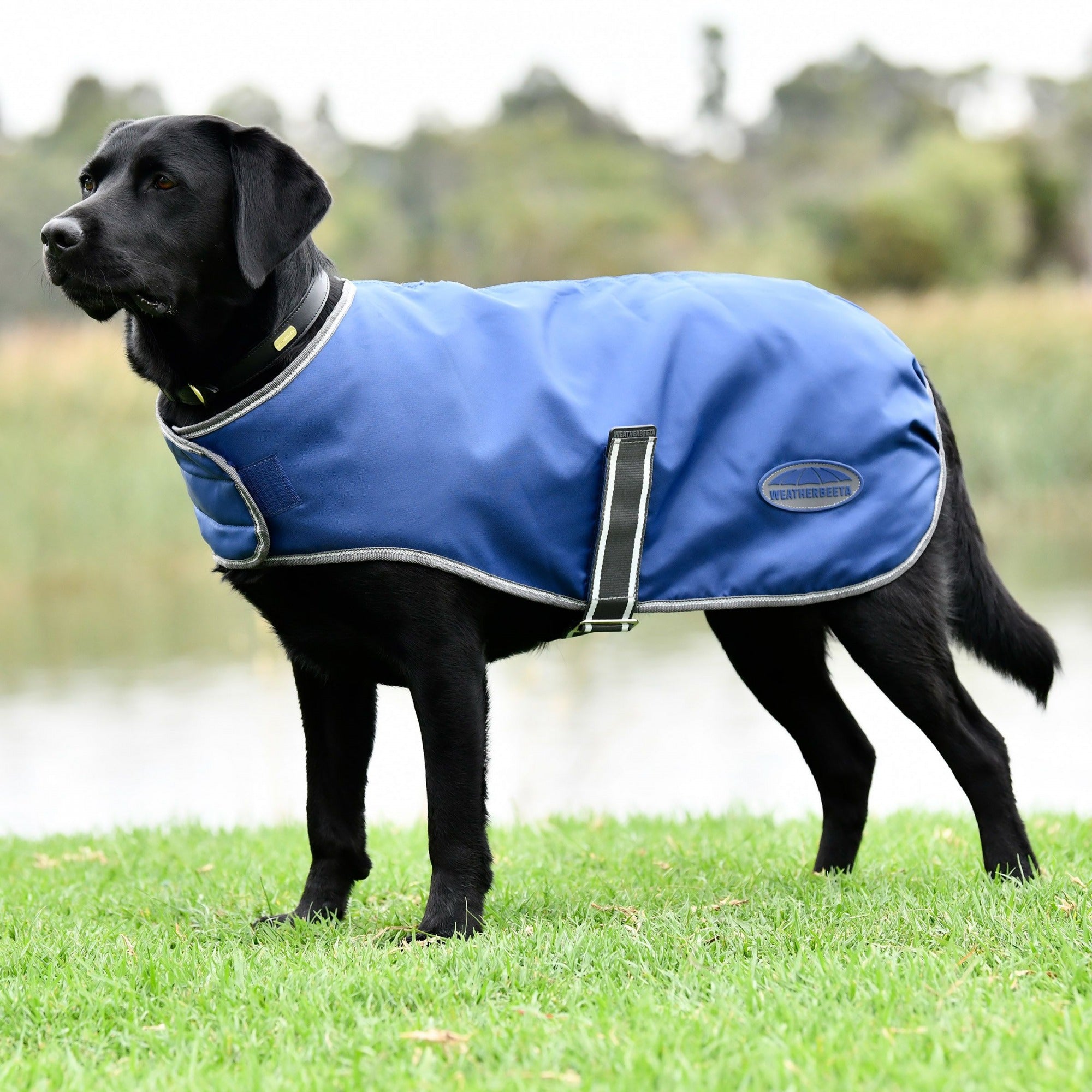 Weatherbeeta