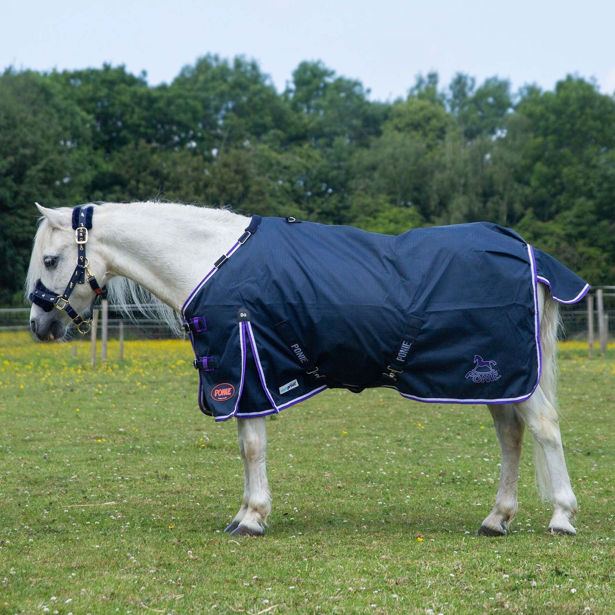 Gallop New 600D Ponie 0g Duraproof  Turnout Light Weight