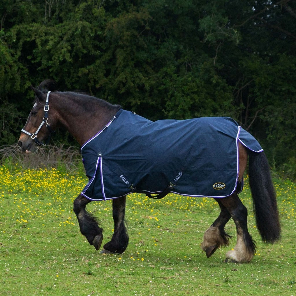 Gallop Trojan Duraproof Standard Lightweight Turnout