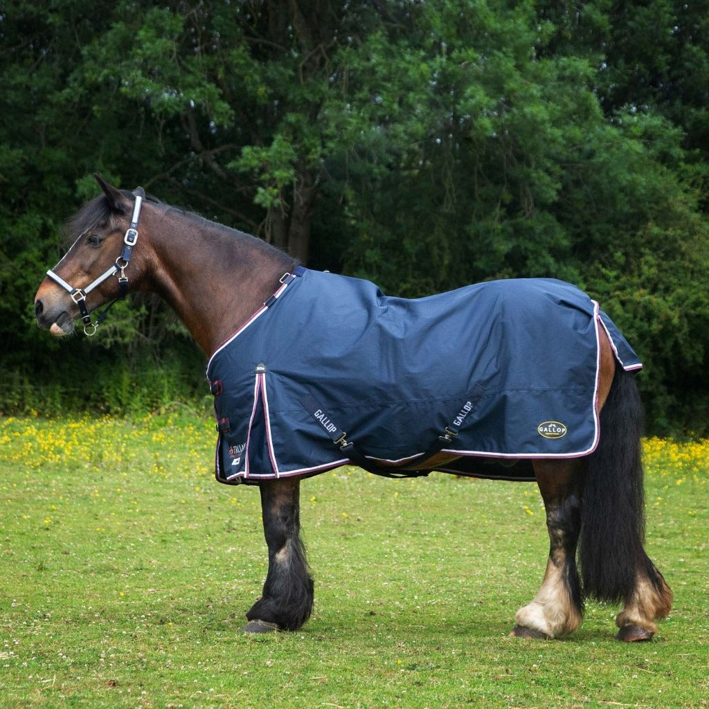 Gallop Trojan Duraproof 50G Standard Turnout
