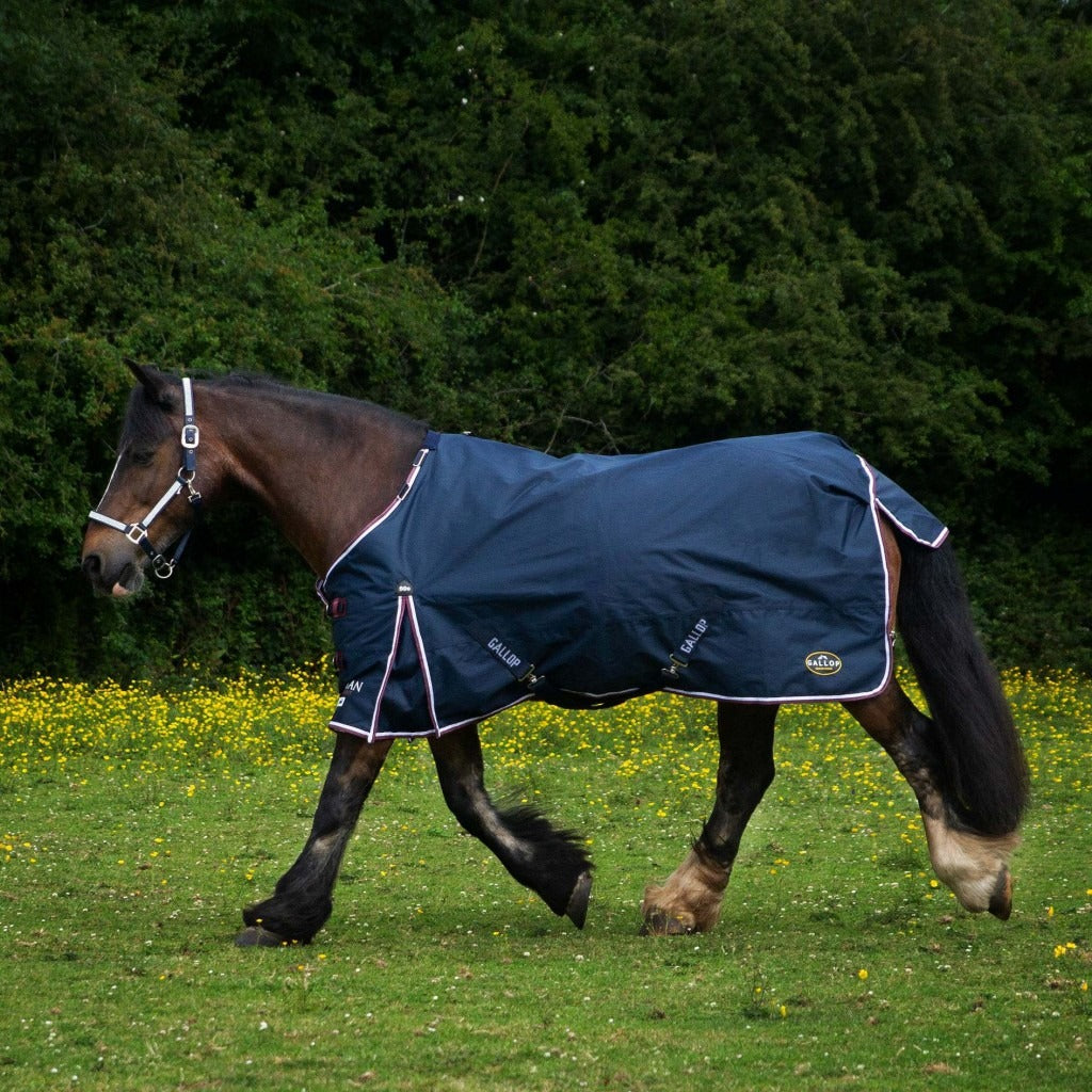 Gallop Trojan Duraproof 50G Standard Turnout