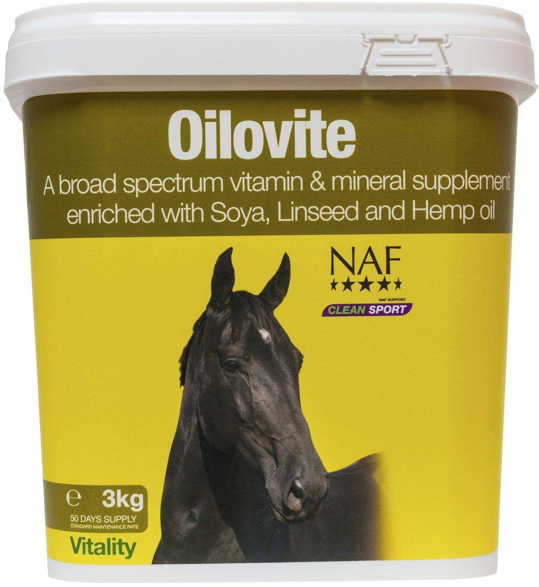 Horse Recovery Supplements