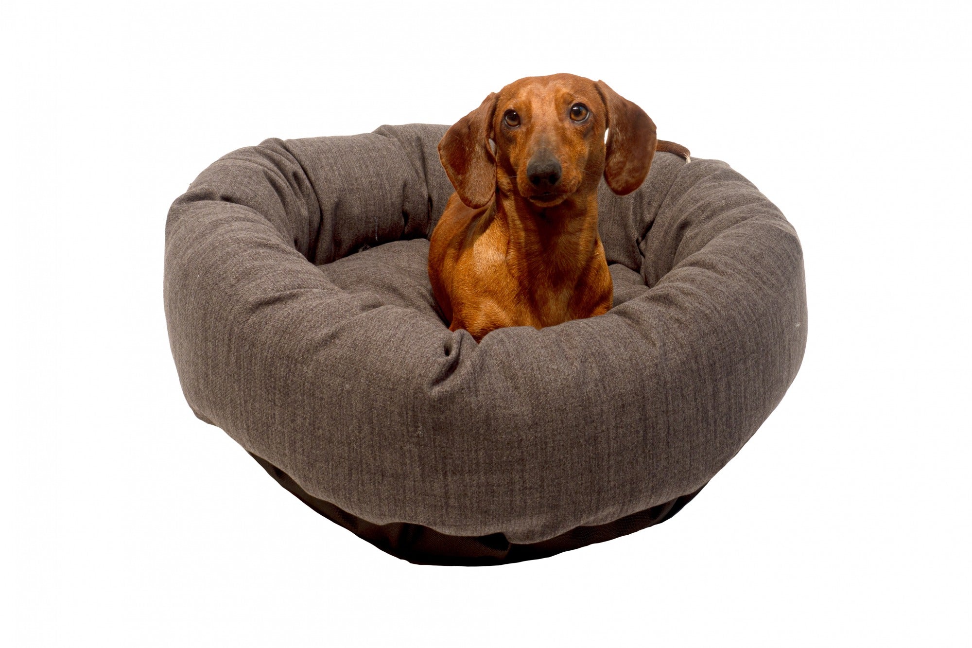 Danish Design Allsorts Donut - Large