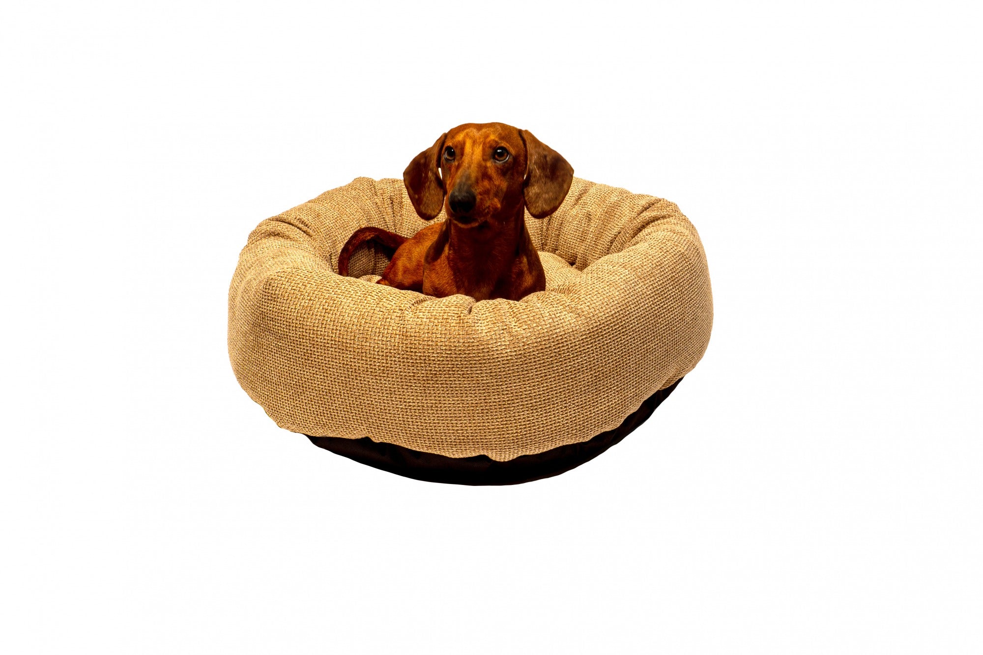 Danish Design Allsorts Donut - Large
