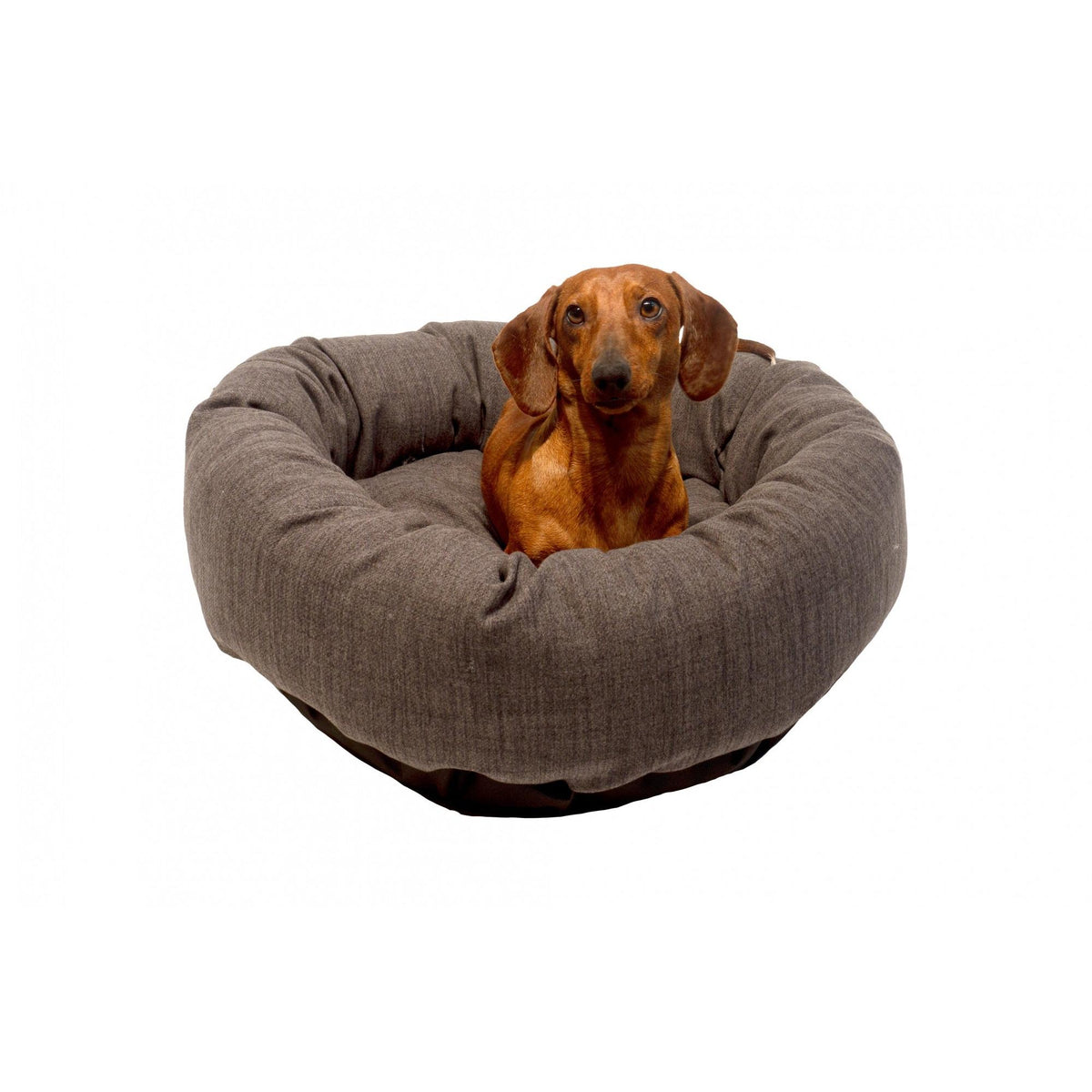 Danish Design Allsorts Donut - Medium