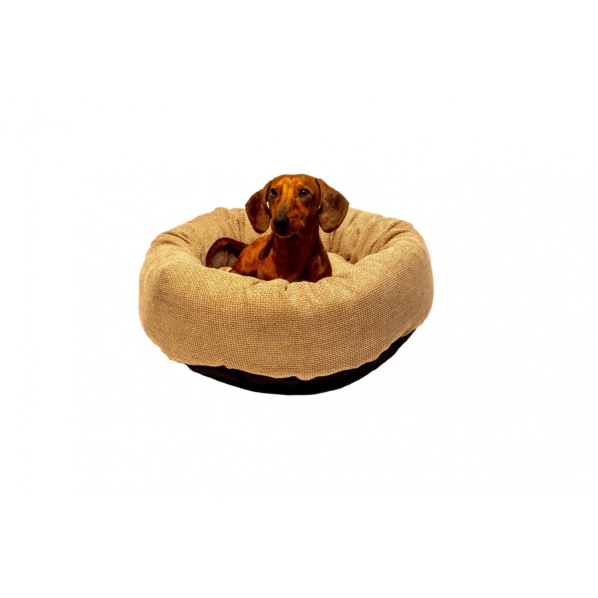 Danish Design Allsorts Donut - Medium