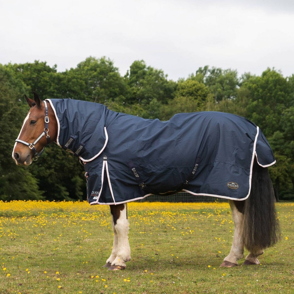 Gallop Duraproof 50G Combo Turnout
