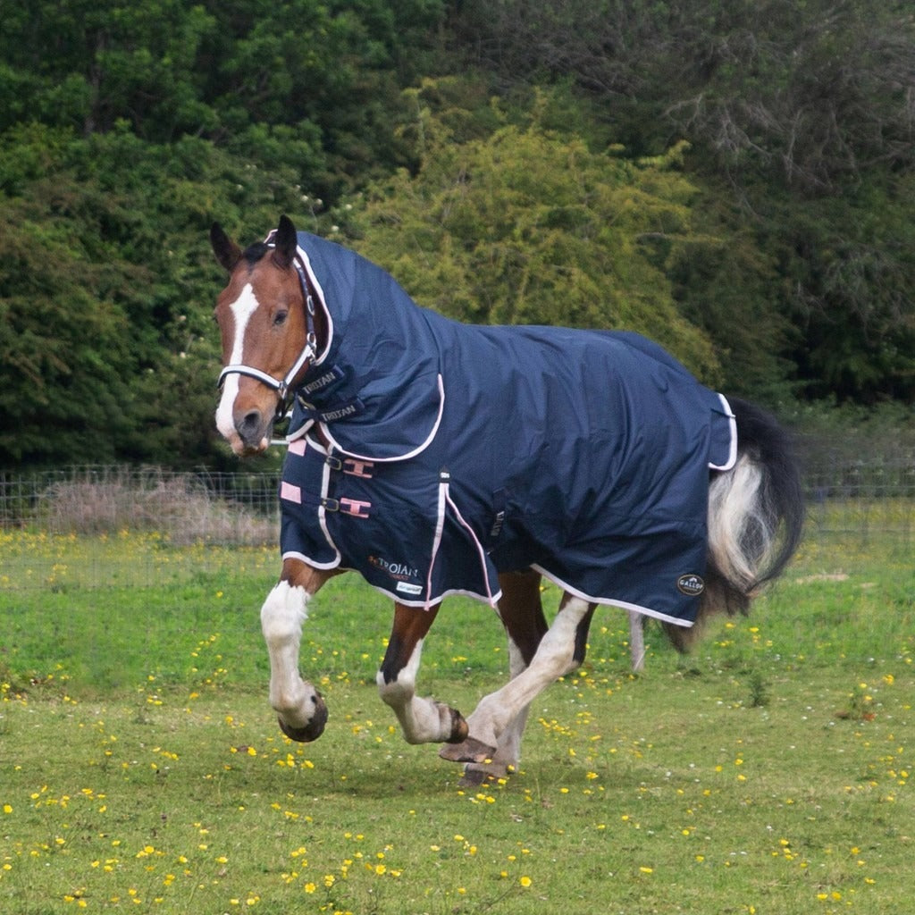Gallop Duraproof 50G Combo Turnout