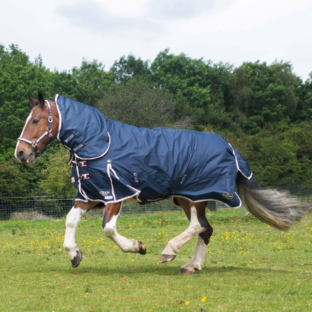 Gallop Duraproof 50G Combo Turnout