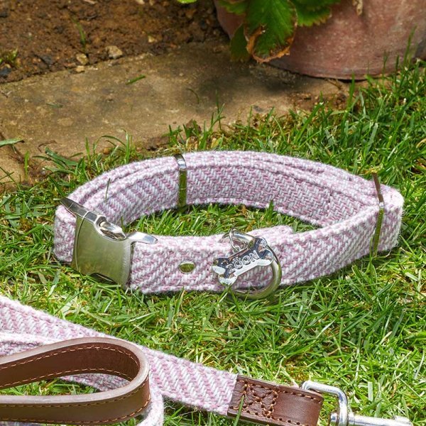 Zoon Country Walkabout Dog Collar Small - 23-36cm