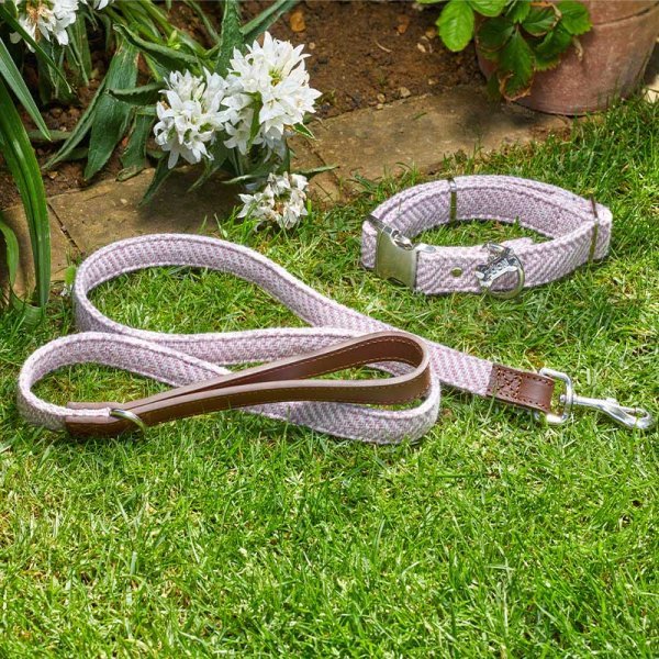 Zoon Country Walkabout Dog Lead Medium - 120 x 2cm