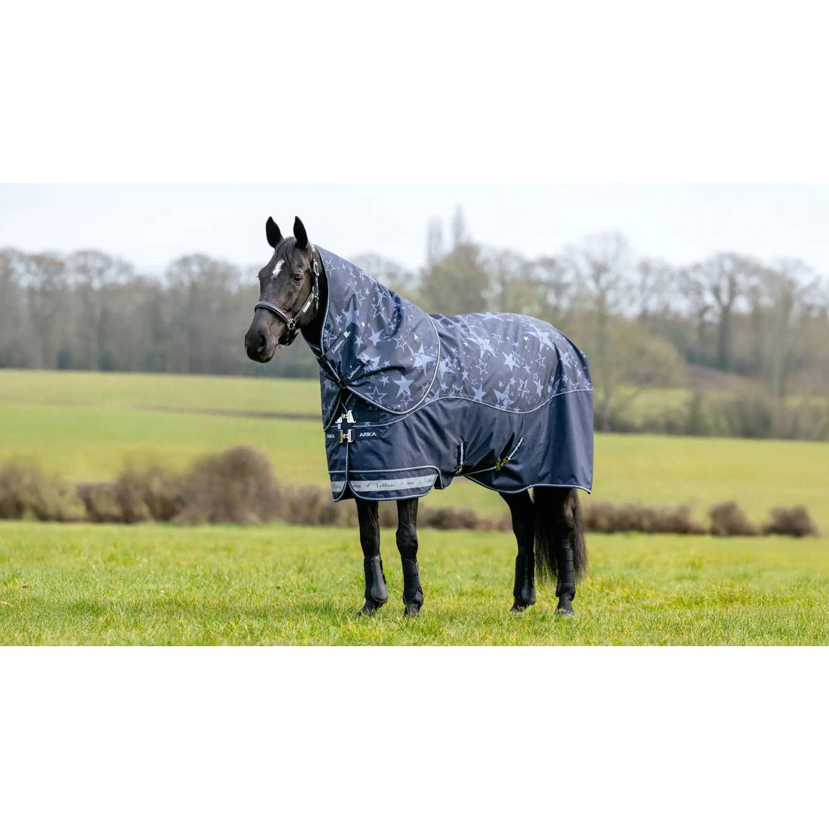 Lemieux Arika Star 200G Turnout Rug  Navy